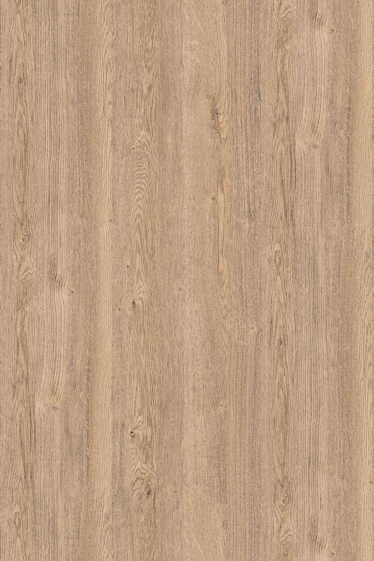K076 PW Дуб Экспресив Песочный